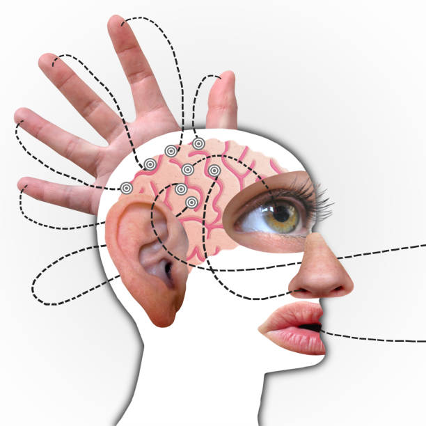 Exploración neurológica vía visual y sistema vestibulococlear.